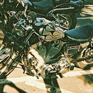 Meet your Posher, Renee